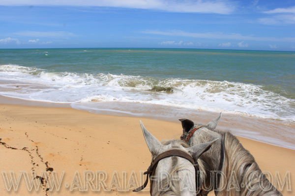 Passeios de cavalo
